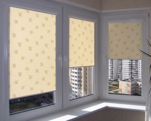 Рулонные шторы на окнах